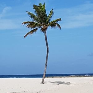 Meet your Posher, Carmela